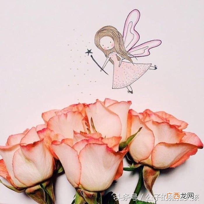 给女生留言板留言,给女朋友收藏的暖心留言小短句