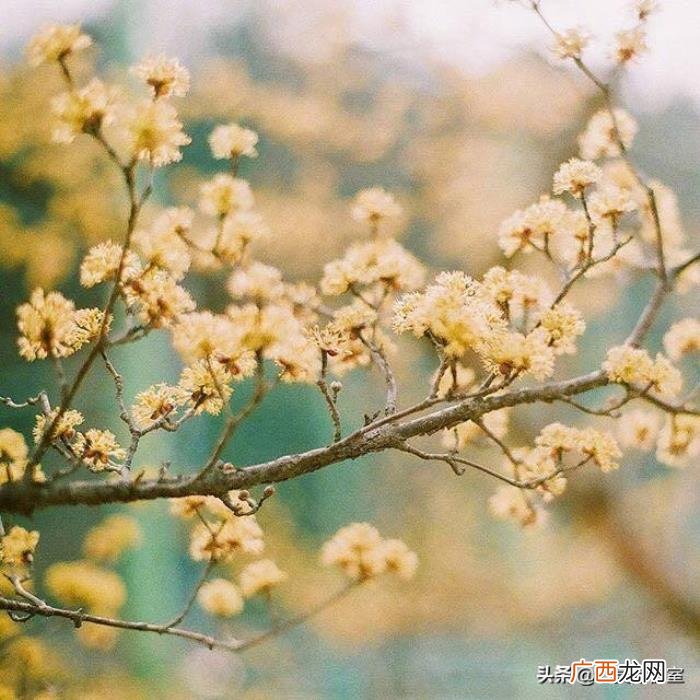 适合女生的超可爱皮句 适合女生超级皮的句子