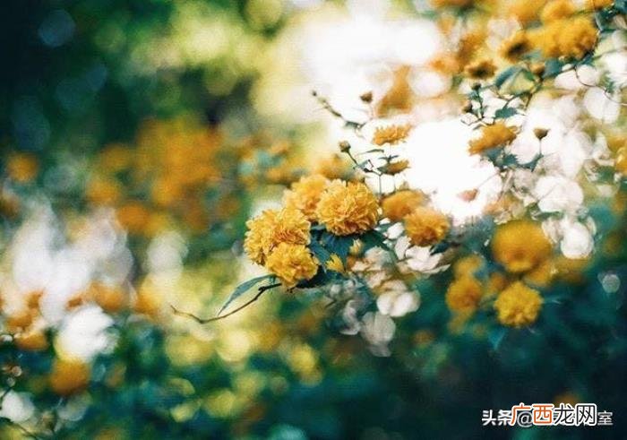 适合女生的超可爱皮句 适合女生超级皮的句子