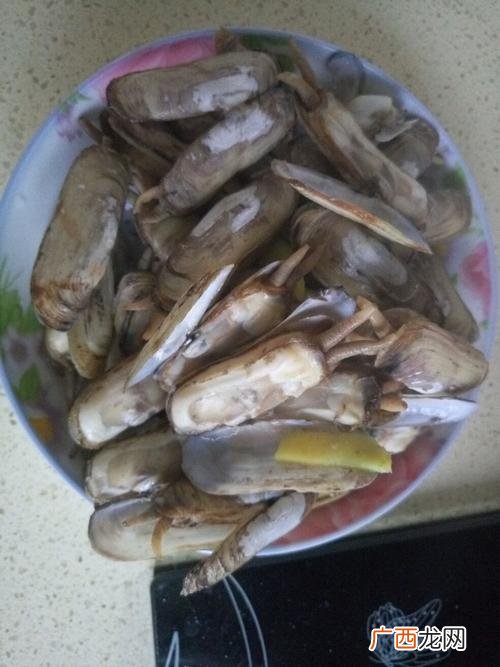 淡水蛏子图片 蛏子可以淡水养殖吗