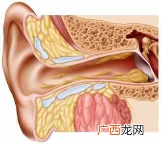 教你一招去除腋下异味 腋下有异味怎么办