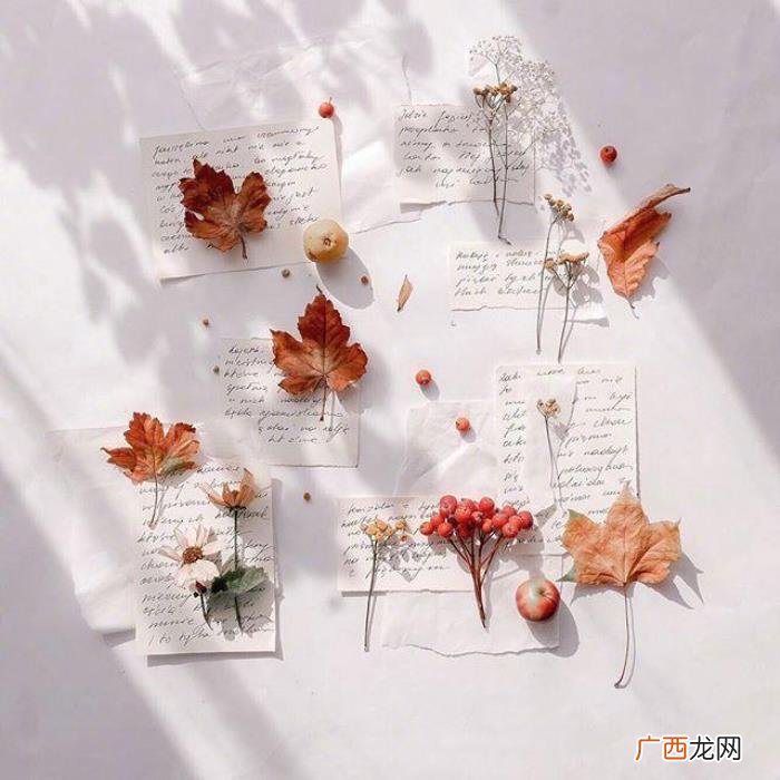 适合晚上发的心情句子 适合晚上发的说说简短