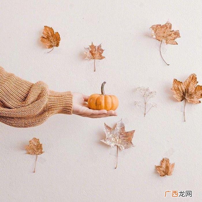 适合晚上发的心情句子 适合晚上发的说说简短
