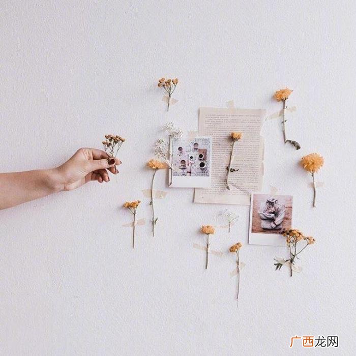 适合晚上发的心情句子 适合晚上发的说说简短