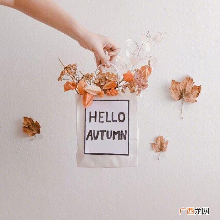 适合晚上发的心情句子 适合晚上发的说说简短