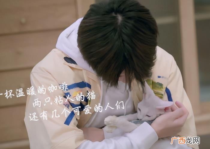 易烊千玺脸上的疤，易烊千玺久违出现