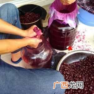 葡萄酒怎么做,葡萄酒制作流程！