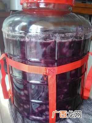 葡萄酒怎么做,葡萄酒制作流程！