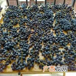 葡萄酒怎么做,葡萄酒制作流程！