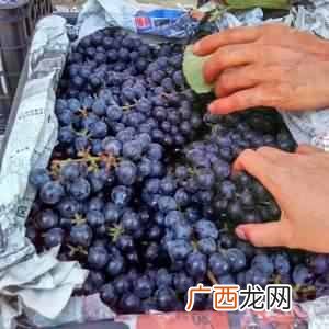 葡萄酒怎么做,葡萄酒制作流程！