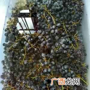 葡萄酒怎么做,葡萄酒制作流程！