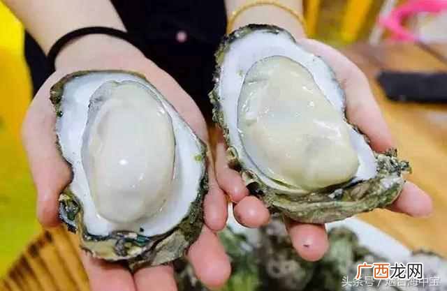 海蛎子怎么吃,海蛎子有哪些营养!