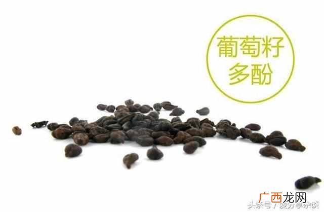 葡萄籽怎么吃,葡萄籽有什么功效及作用!
