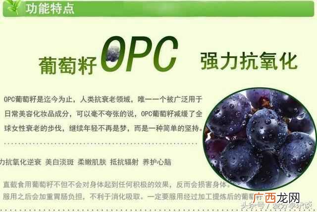 葡萄籽怎么吃,葡萄籽有什么功效及作用!