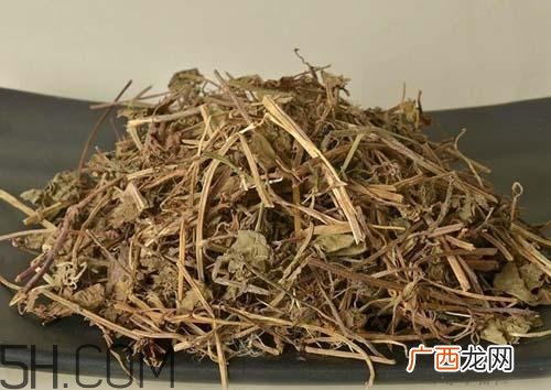 什么是透骨草？透骨草的功效与作用是什么？