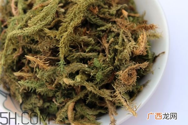 什么是伸筋草？伸筋草的功效与作用是什么？