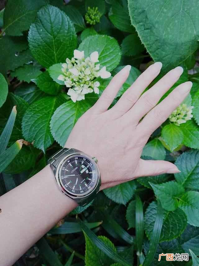 西铁城手表怎么样，西铁城手表什么档次价位！