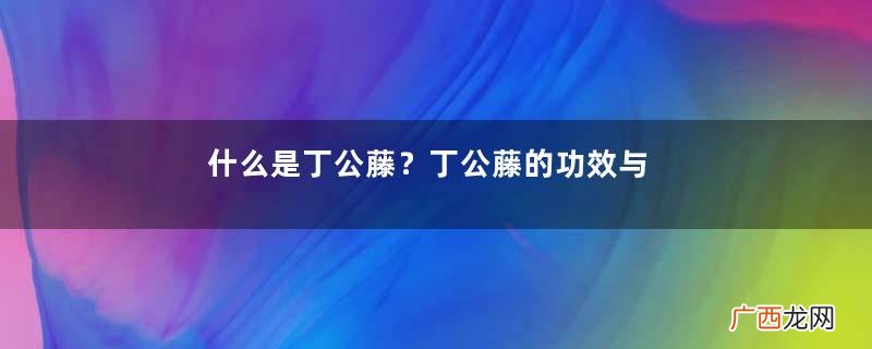 什么是丁公藤？丁公藤的功效与作用是什么？