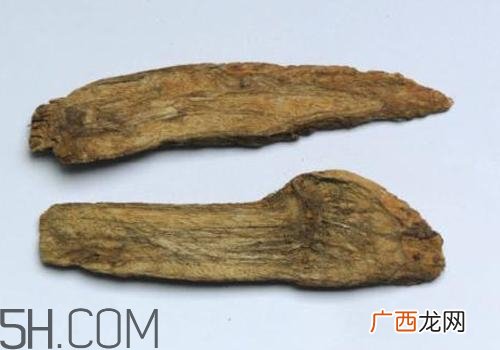 什么是丁公藤？丁公藤的功效与作用是什么？