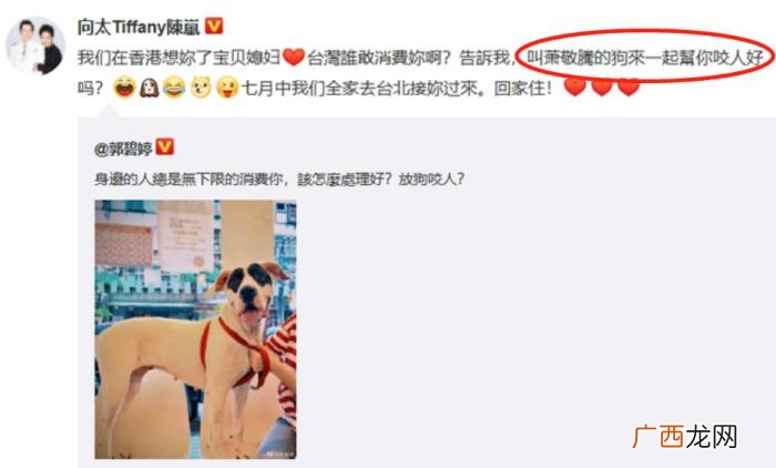 向佐萧敬腾,向佐晒与萧敬腾"撞脸照"