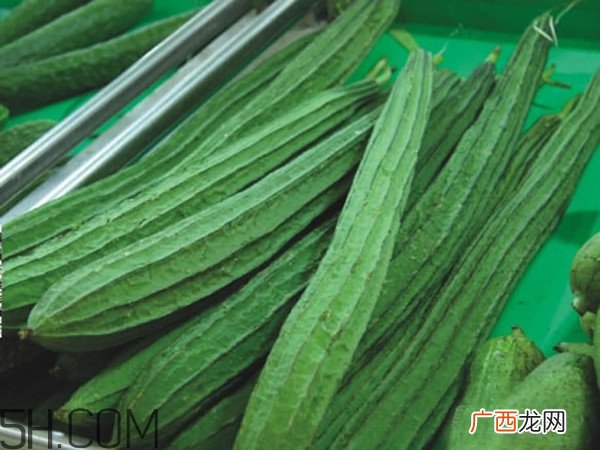 苦丝瓜能吃吗？吃苦丝瓜会中毒吗？