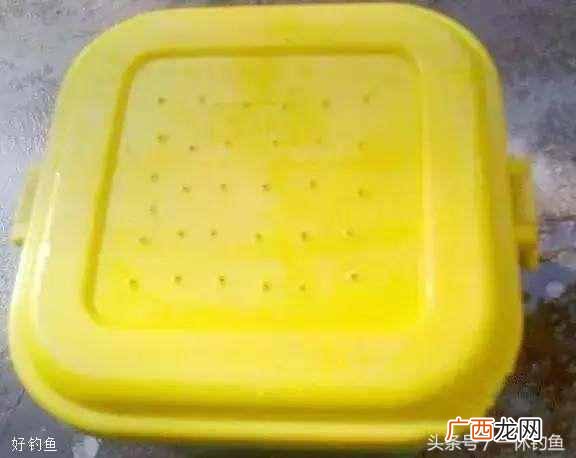 红虫怎么养，红虫最有效的保养方法！