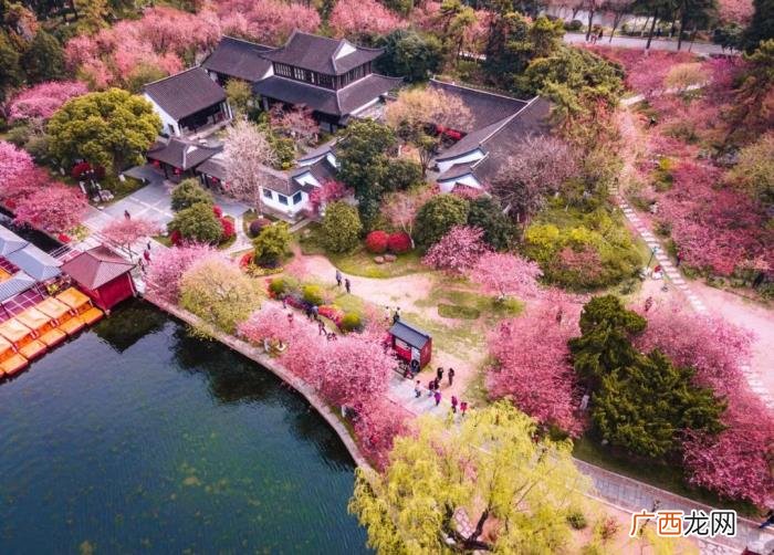 最适合春游发朋友圈的诗句 赏花发朋友圈微信句子