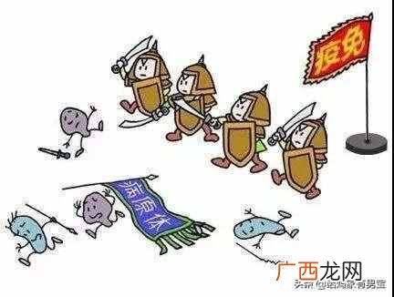 怎么提高免疫力，免疫力是什么！
