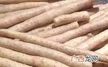 山药怎么吃，山药的营养价值！