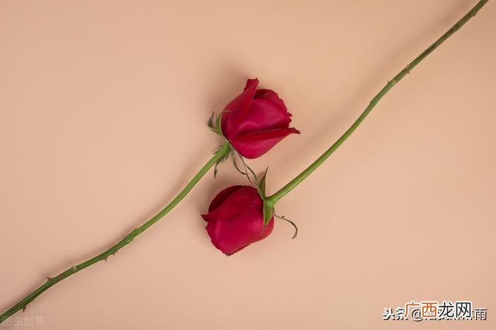 分手挽留的深情文章，请你好好看看这篇文章再做决定