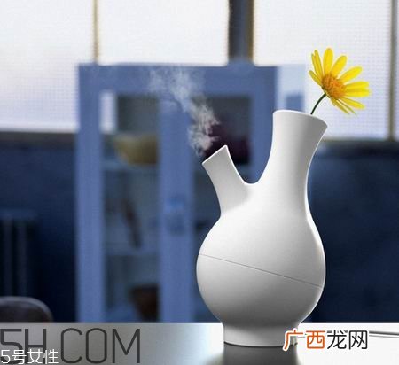 加湿器有哪些功效？如何选购加湿器？