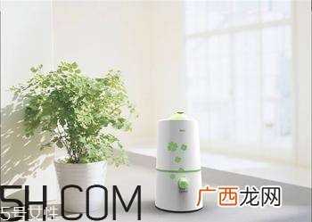 加湿器的使用误区有哪些？加湿器的功能介绍