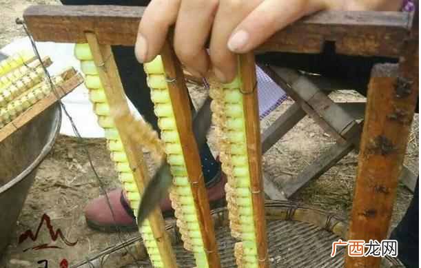 蜂王浆怎么吃，蜂王浆服用注意事项及禁忌！