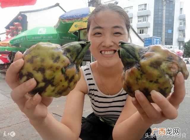 芡实怎么吃，芡实的营养价值！