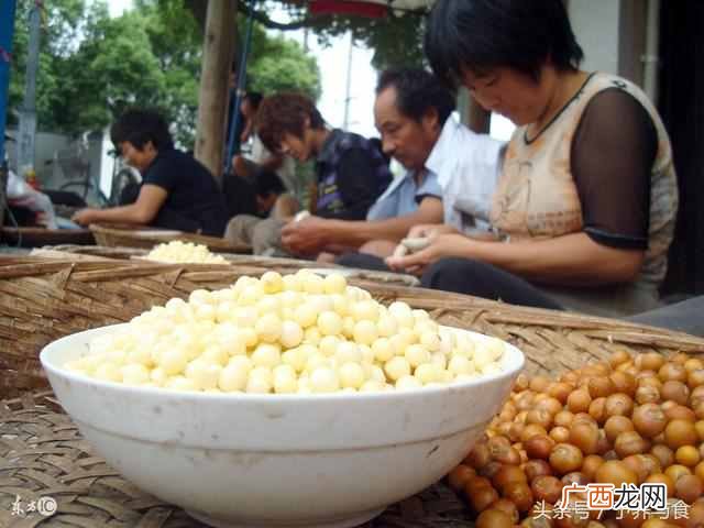 芡实怎么吃，芡实的营养价值！