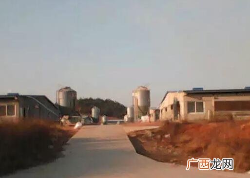水产养殖专业 建筑与养殖
