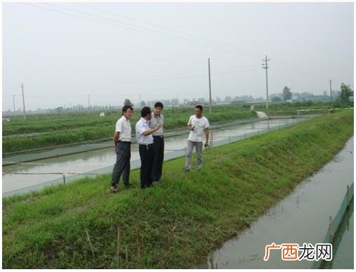 九江养鱼基地在什么地方 江苏盐城鱼业养殖