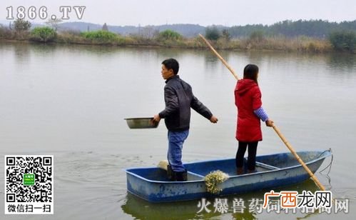 九江养鱼基地在什么地方 江苏盐城鱼业养殖