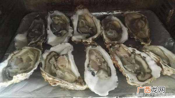 牡蛎怎么吃，教你这么做美食！