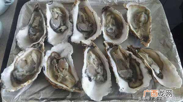 牡蛎怎么吃，教你这么做美食！