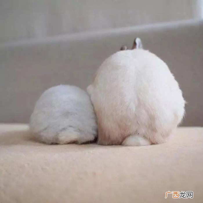 微信上搞笑的18句个性签名 搞笑个人签名