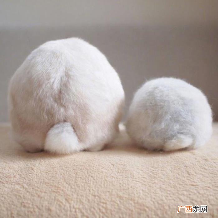 微信上搞笑的18句个性签名 搞笑个人签名