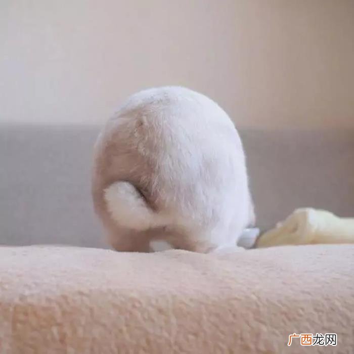 微信上搞笑的18句个性签名 搞笑个人签名
