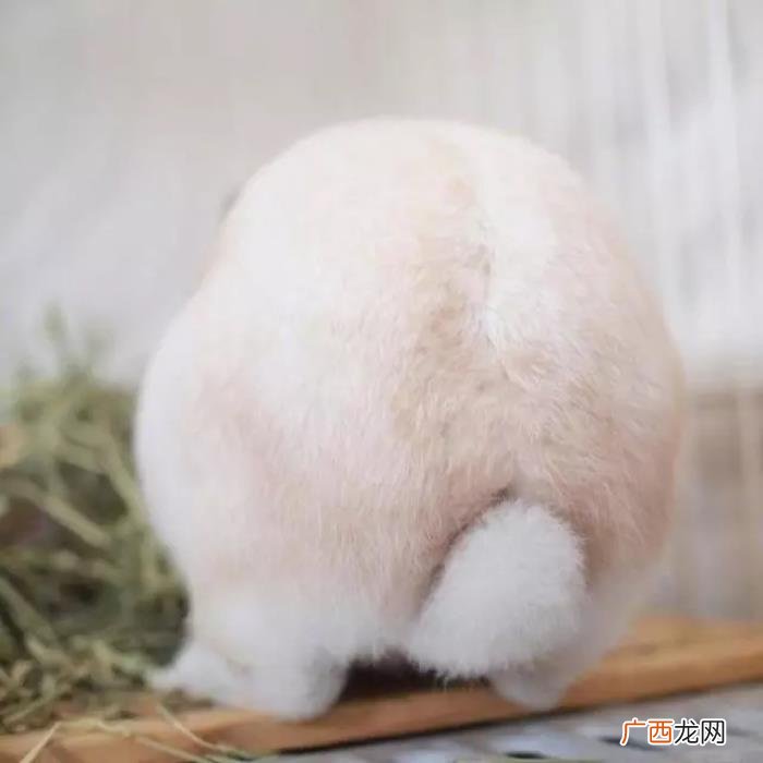 微信上搞笑的18句个性签名 搞笑个人签名