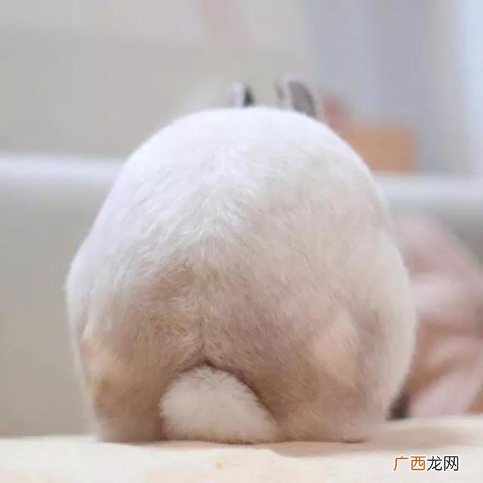 微信上搞笑的18句个性签名 搞笑个人签名