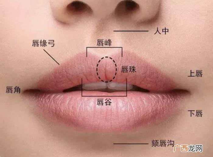 上嘴唇薄下嘴唇厚是什么唇形，判断自己是什么唇形