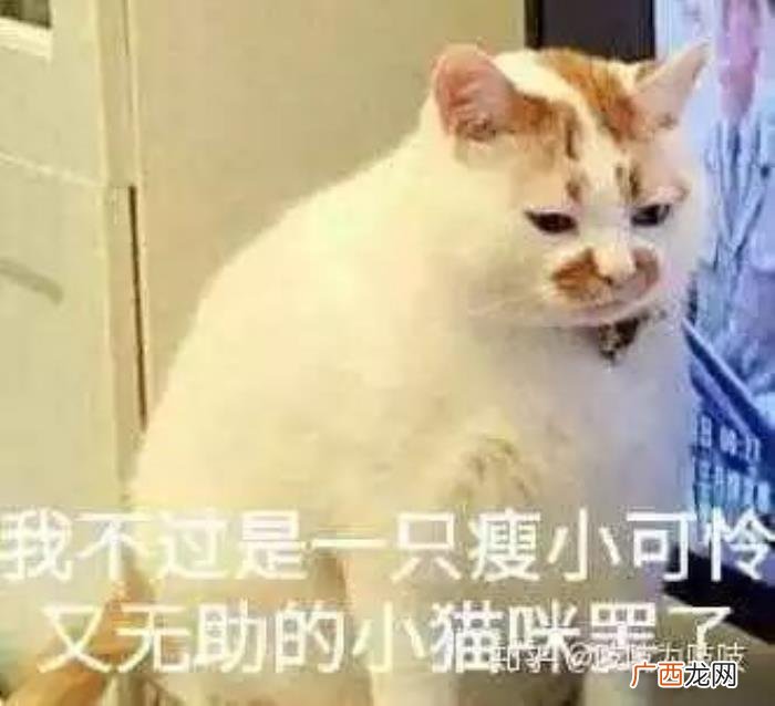 分手后想复合应该怎么做,分手后才想起她的好
