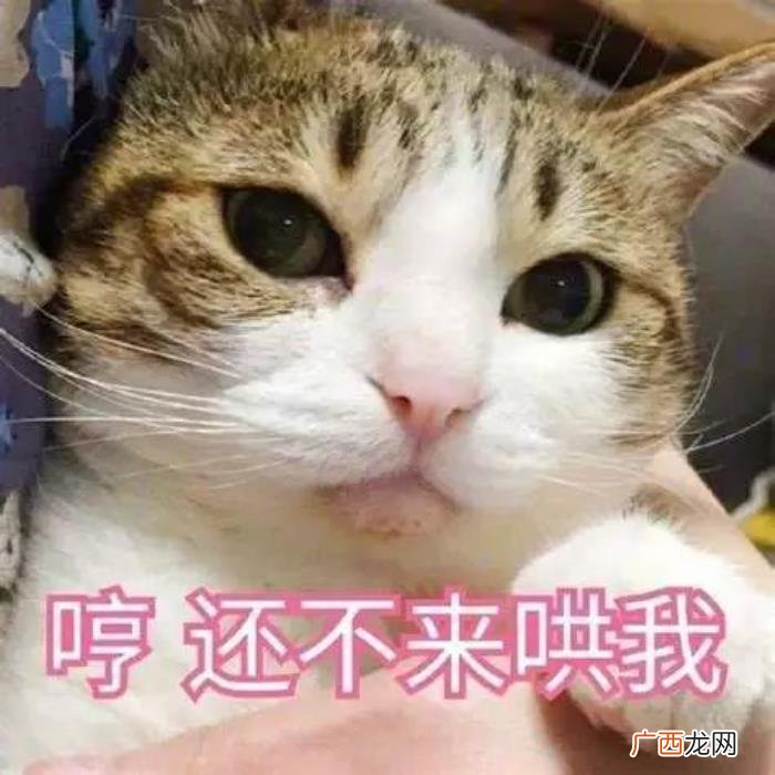 分手后想复合应该怎么做,分手后才想起她的好