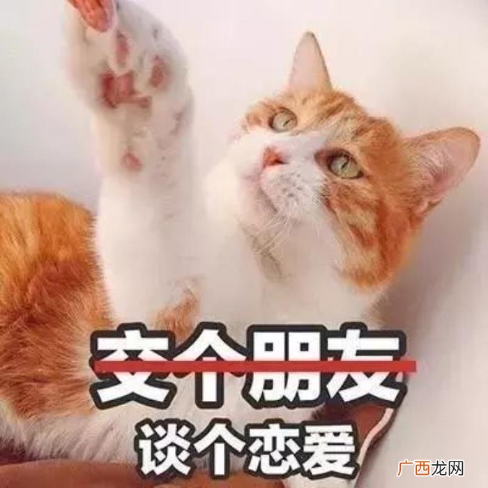 分手后想复合应该怎么做,分手后才想起她的好