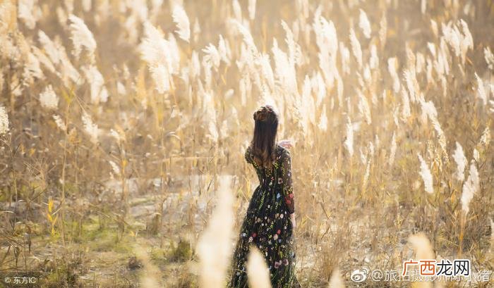 男人拉黑女人是放下吗，如果一个男人将你拉黑了